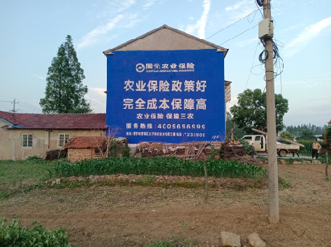  隆安墙体广告的优劣势你知道吗？