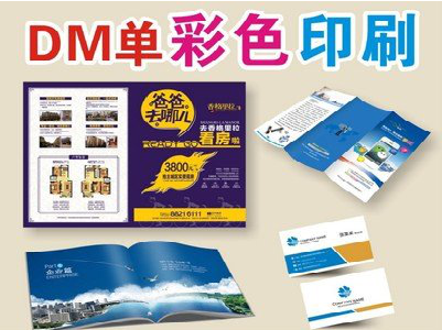 隆安单页印刷,色彩搭配简单。